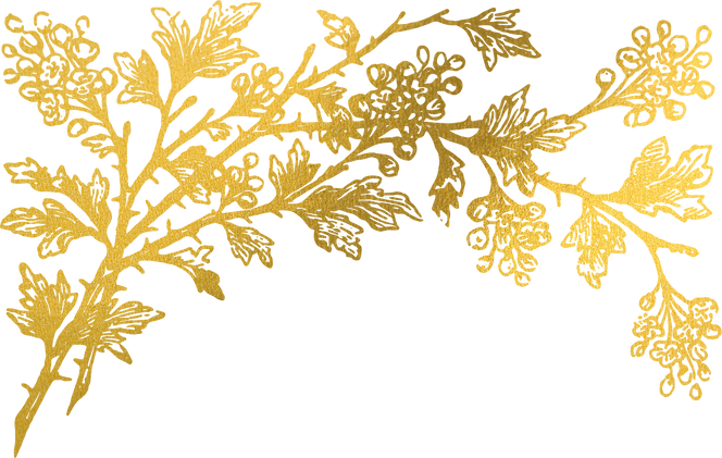 Gold Flora Plant